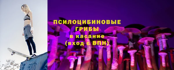 дмт Вяземский