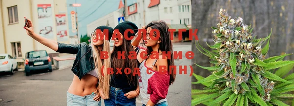 дмт Вяземский