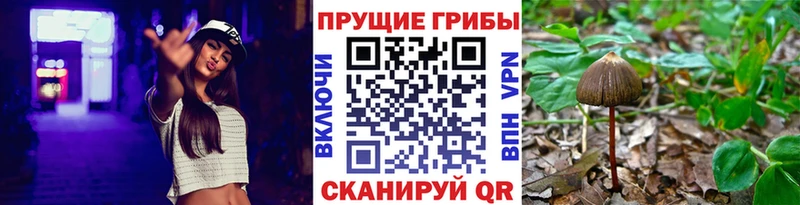 Галлюциногенные грибы Magic Shrooms Рузаевка